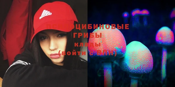 герыч Россошь