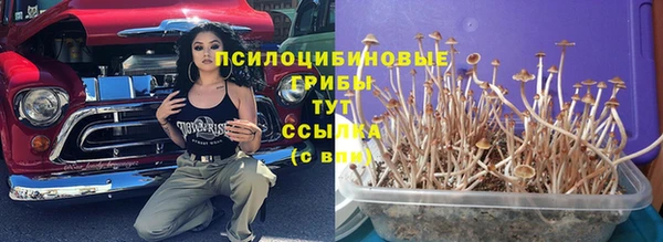 spice Ростов