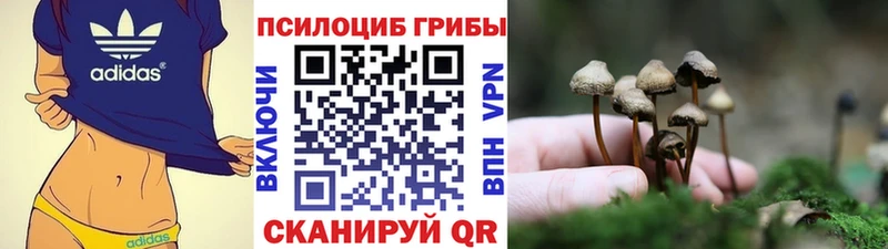 Псилоцибиновые грибы Psilocybe  Мамадыш 
